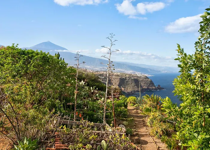 Apartment Holidays For The Soul La Matanza De Acentejo